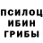 Галлюциногенные грибы Psilocybine cubensis Jonibek Jabborov