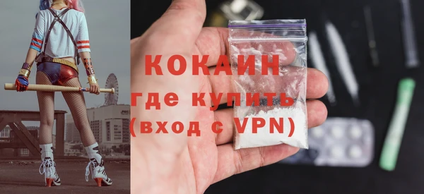 индика Алексеевка