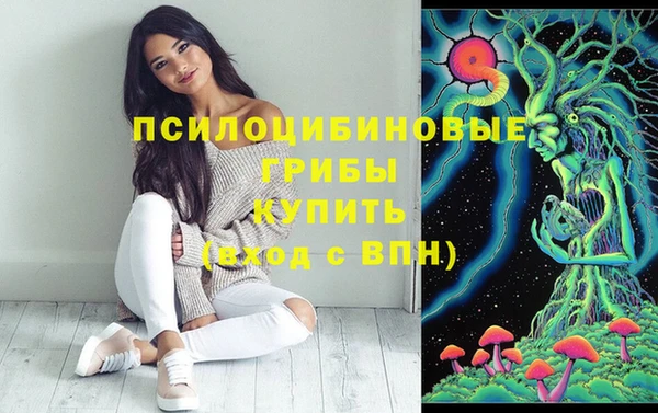 твердый Алзамай